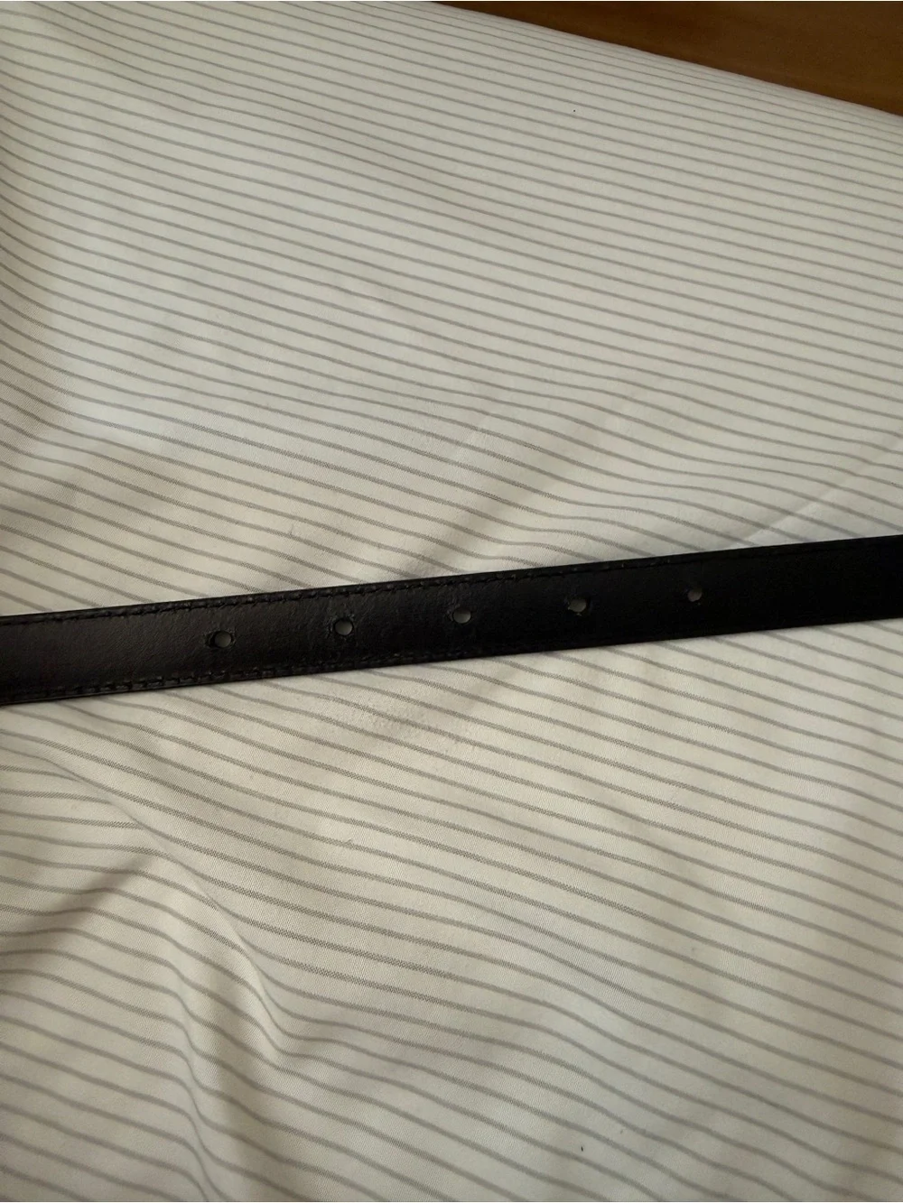 Aritzia Legendary Solid Brass Leather Slim Belt